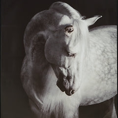 Ashley Express - Archerwick Wall Art