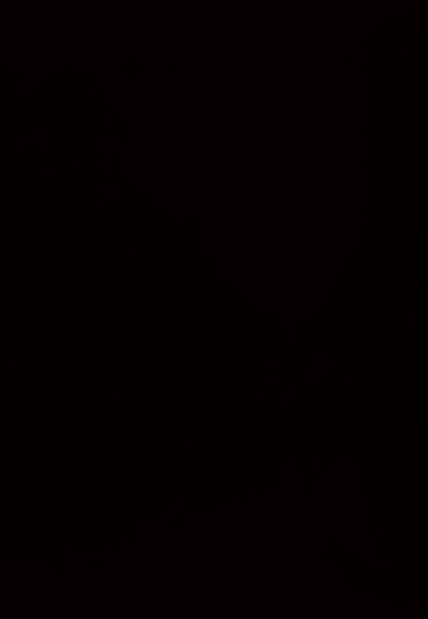 Ashley Express - Kimonte Rectangular Dining Room Table